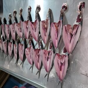 Frigorífico de pescado